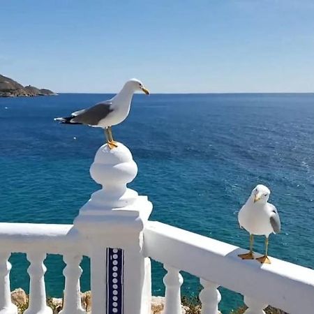 Apartamento Sun Beach 貝尼多姆 外观 照片