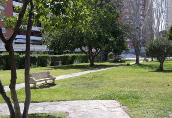 Apartamento Sun Beach 貝尼多姆 外观 照片