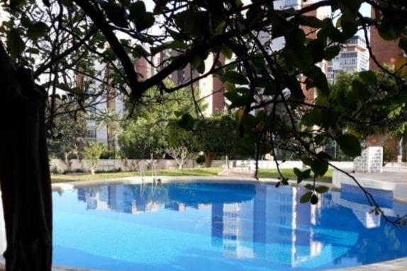 Apartamento Sun Beach 貝尼多姆 外观 照片