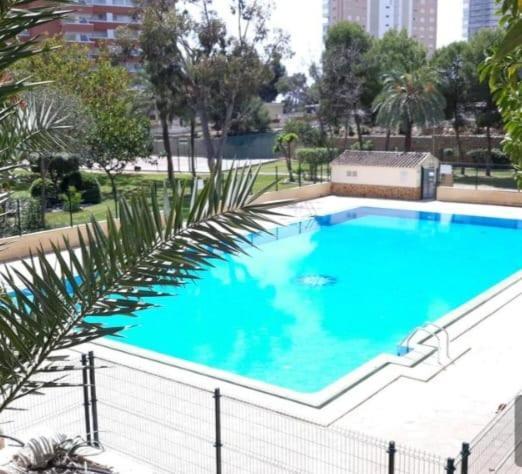 Apartamento Sun Beach 貝尼多姆 外观 照片