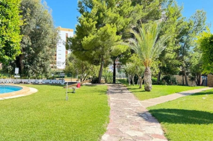 Apartamento Sun Beach 貝尼多姆 外观 照片